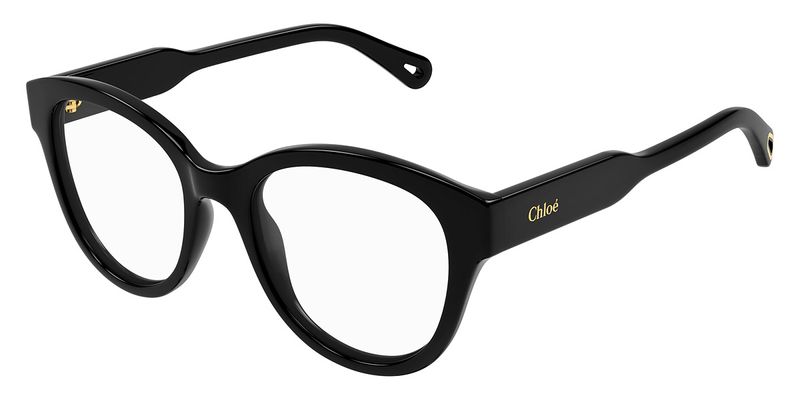 ch0163o-001-01