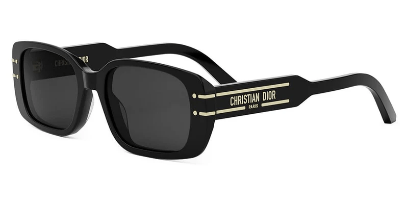 Dior Signature S12I 10A0